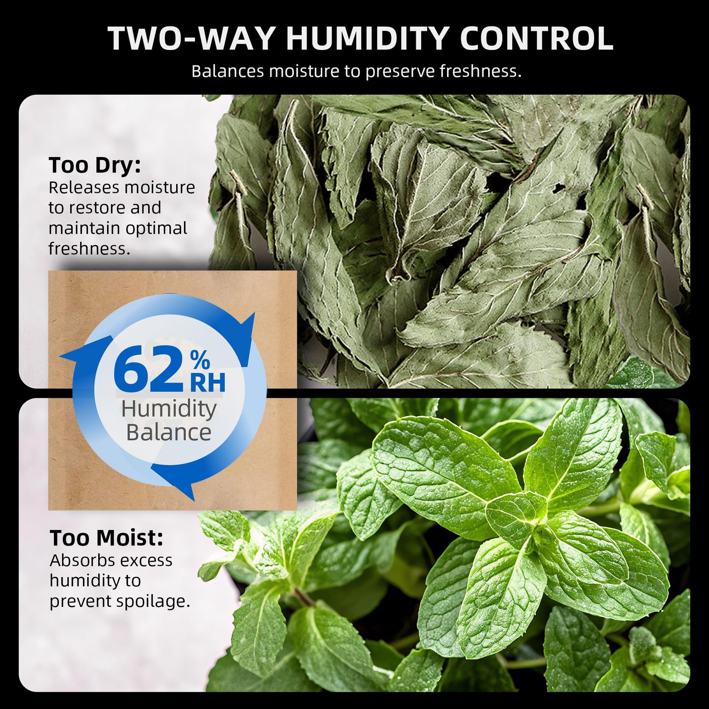 Spider Farmer New Auto-Cure Smart Jar, 2L Portable Vacuum Seal Container with 4 x 62% Humidity Packs and Auto Drip Irrigation System Kits with 13-Gallon Bucket