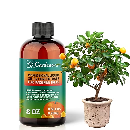 𝐏𝐑𝐄𝐌𝐈𝐔𝐌 Liquid Silica Plant Supplement - 8oz (250mL) - Tangerine Trees Liquid Silica Boost Fertilizer - Stronger Stems & Healthy Leaves for Indoor & Outdoor Tangerine Trees (Makes 45 Gallons)