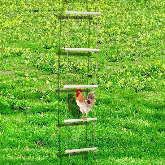 Extra Long Chicken Perch Stand, Natural Wood Chick Swing Toy for Coop, Chicken Coop Accessories, Chicken Roosting Bars, Outdoor Perch Toy for Poultry Chicken Chick Hens Large Bird Parrot 138 × 16 Inch
