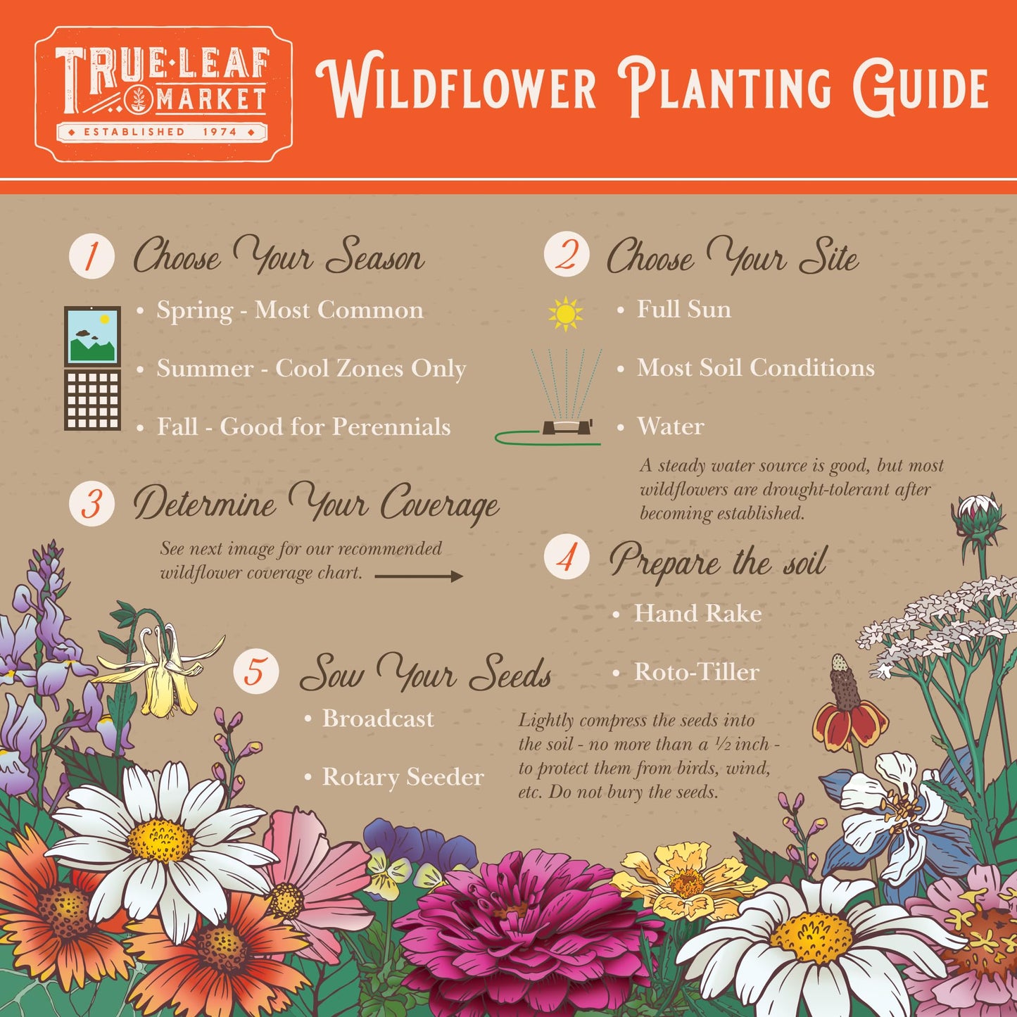 Wildflower Bulk, Southeastern Flower, 1 Lb. 640,000+ Seeds, Annual & Perennial Flowers with Native Southeastern Blooms, Pollinator Flower