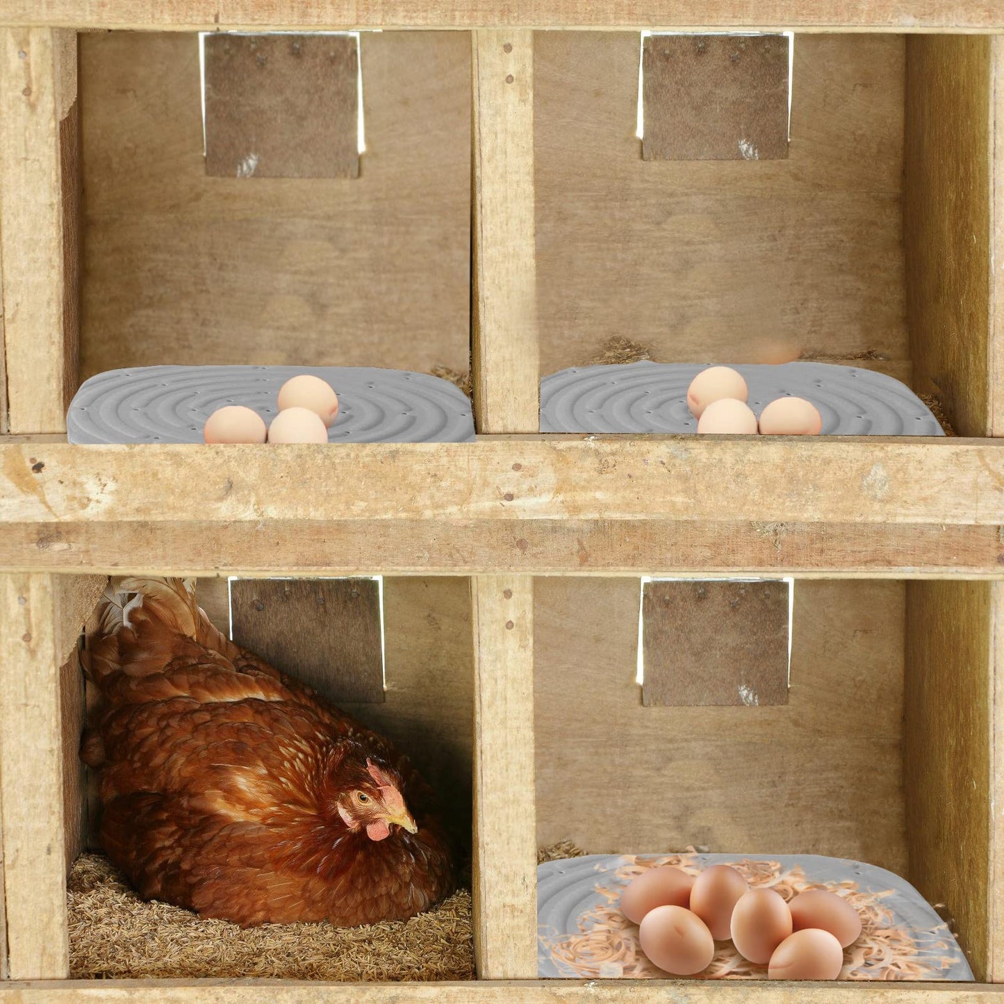Chicken Nesting Box Pads, Washable Nesting Pads for Chicken Coop Bedding Nest Box Liners Reusable Nesting Pads for Laying Eggs Chicken Coop Accessories Grey 12''x12'' 4 Pictures Skimzy