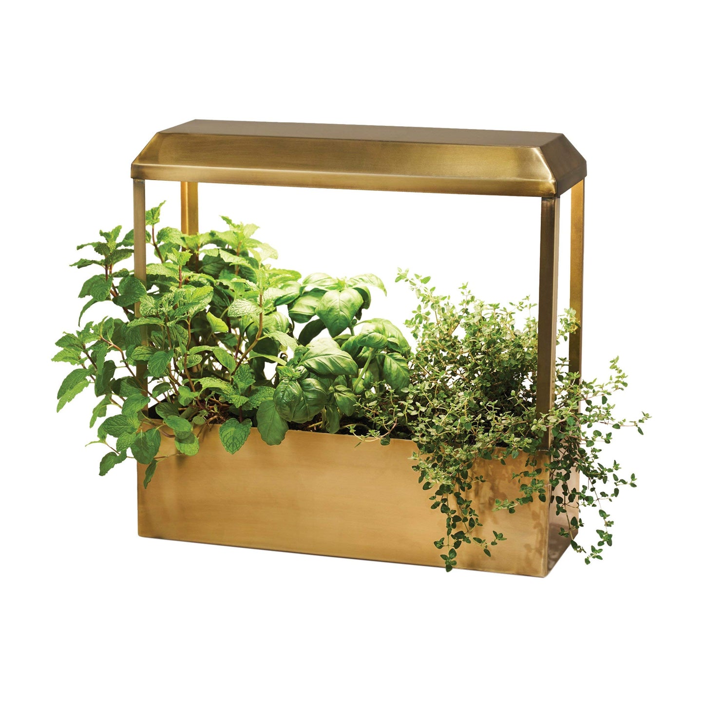Modern Sprout Smart Growhouse - LED Grow Light for Indoor Plants - Plant Grow Light for Indoor Gardening System - Countertop Planter for Herb Garden with Smart App Control - Brass