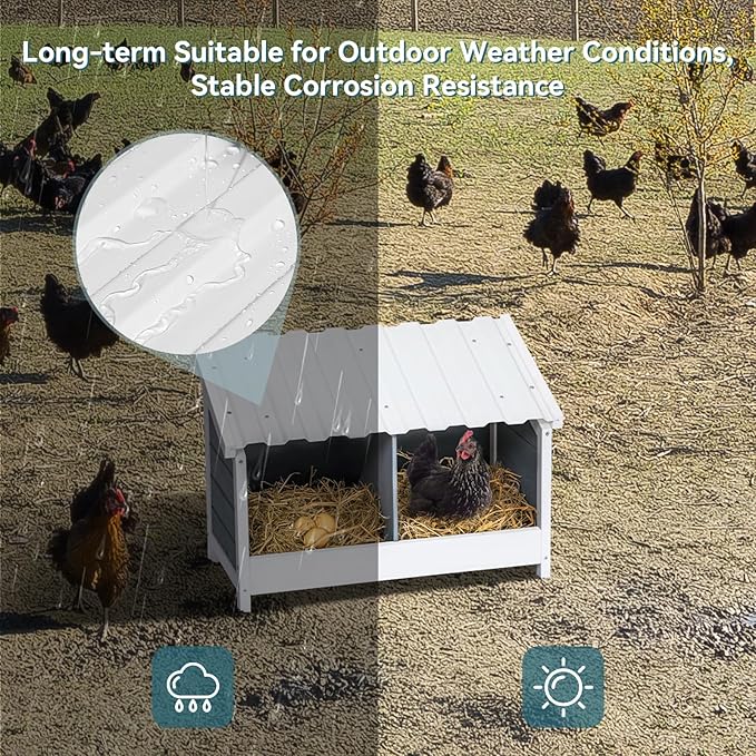 PETSFIT 2 Holes Chicken Nesting Box-All Weather PVC Roof, Natural Wood Design with Privacy Back Panel for Hens-Wall Mounted or Floor Use in Coops, Farms, Backyards,Easy to Assemble and Clean