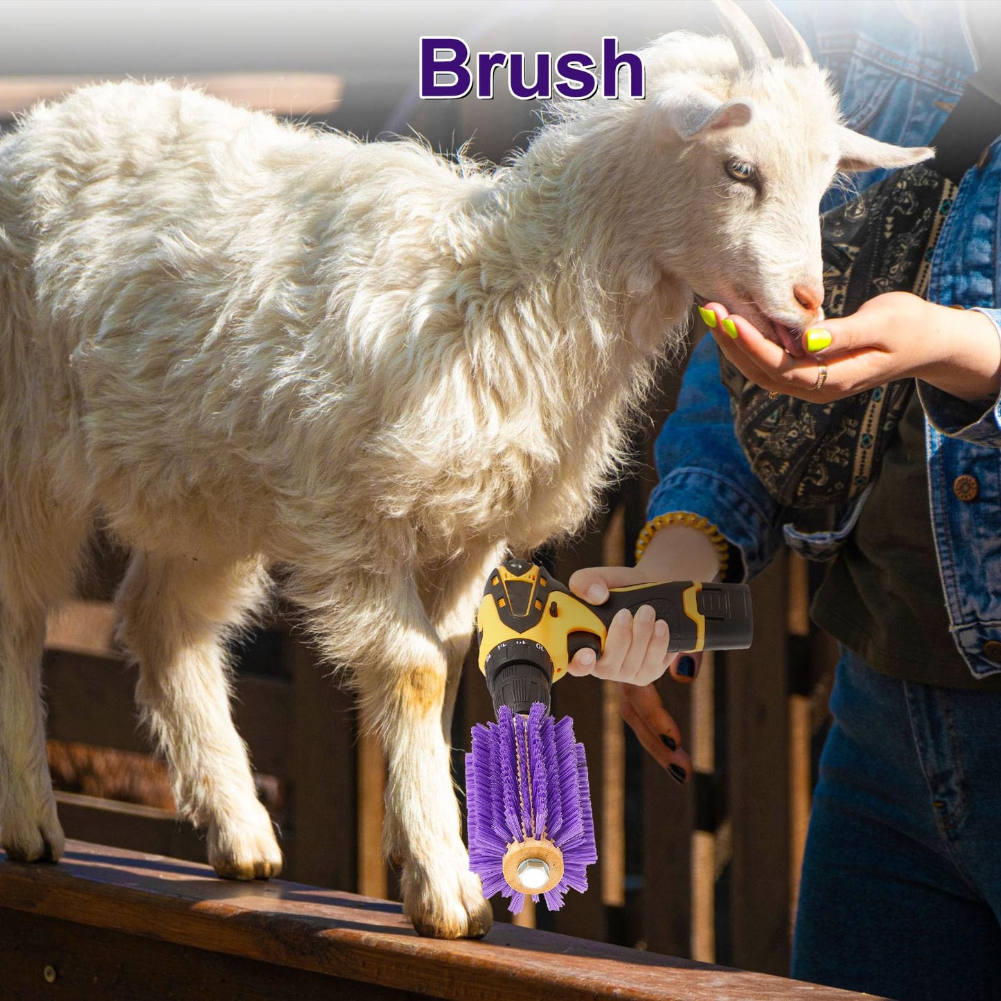 Willinglong 2 Pcs 5.35 inches Livestock Mini Drill Scratch Brush Purple Brush Grooming Kit Suitable for Cattle, Cows, Horses, Sheep and Pigs