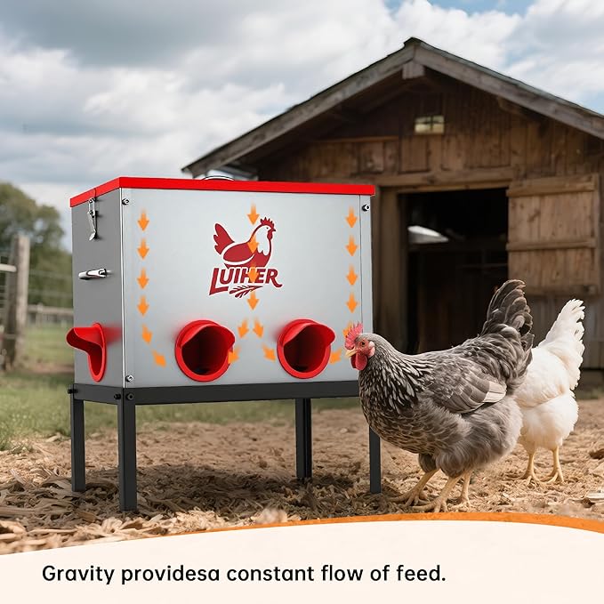 LUIHER Poultry Feeder-25LB no Waste chincken Feeder 6 Ports Large Capacity Galvanized Metal Poultry Feeder with Legs and Lids - Reduces Refilling Frequency Chicken Feeding Equipment for Hen Coop