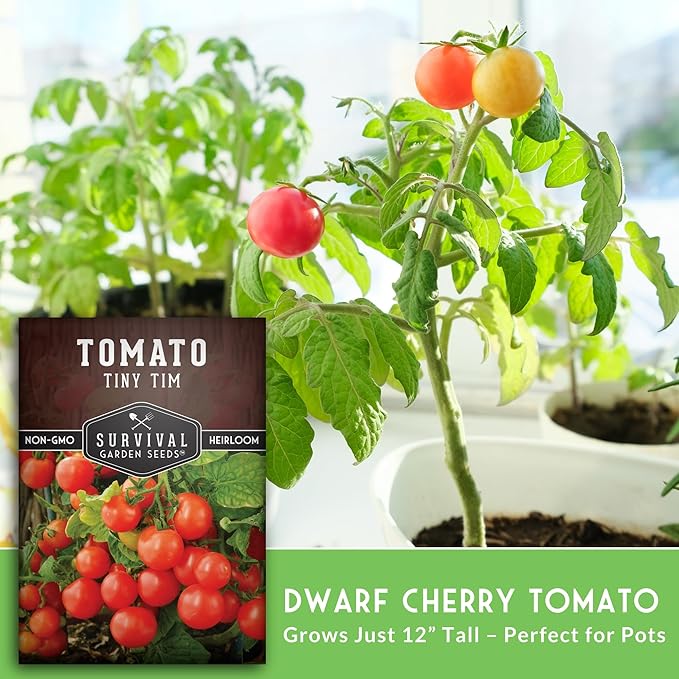 Survival Garden Seeds - Tiny Tim Tomato Seeds for Planting - 3 Packs with Instructions to Grow in Your Home Vegetable Garden - Non-GMO Heirloom Variety