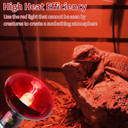 REPTI HOME Reptile Heat Lamp Bulbs,Infrared 100W Reptiles & Amphibians Basking Spot Lamp Bulb, 2 Packs Red Heat Emitter Light for Chickens Coop