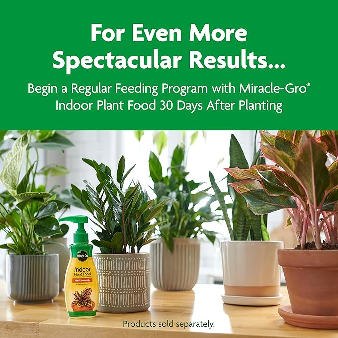 Miracle-Gro Indoor Potting Mix, Blended for a Variety of Houseplants, Feeds for up to 6 Months, 6 qt., 2-Pack