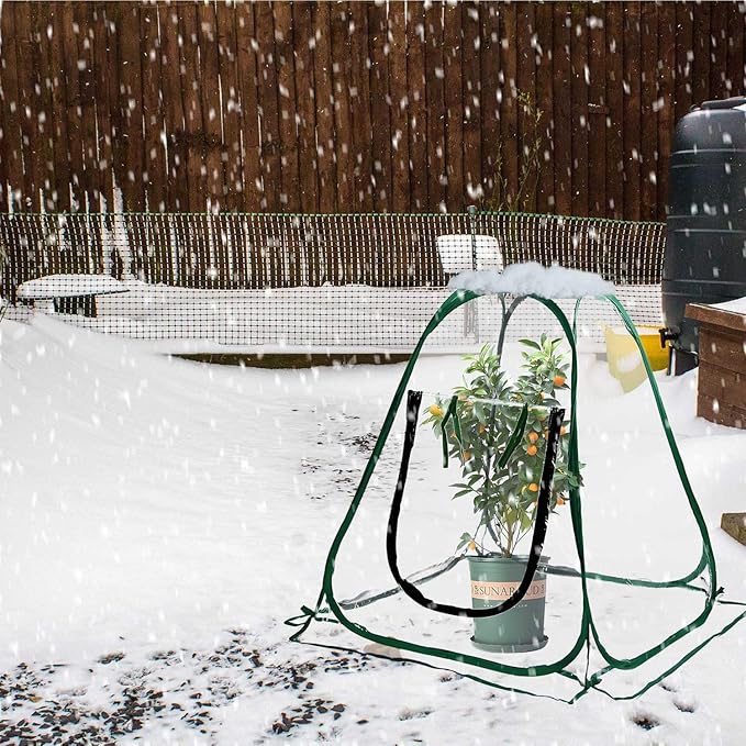 Plant Mini Greenhouse Pop Up Transparent Greenhouse Freeze Protection PVC Plant Cover with Roll-up Zipper Entry Doors for Indoor and Outdoor Gardens Protecting Plant from Cold Frost(PVC, 28x28x32in)