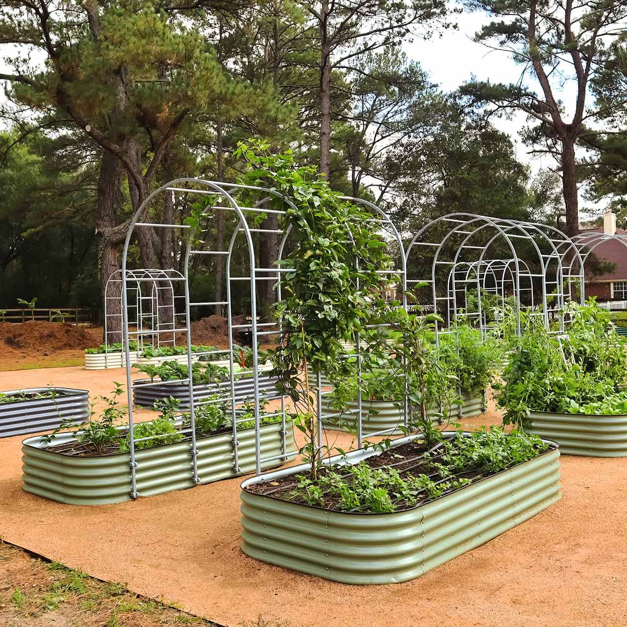 Vego Garden Modular Arched Trellis System Triple Section 5.5' Long Trellis for 4.0' x 8.0' (10 in 1) Garden Bed