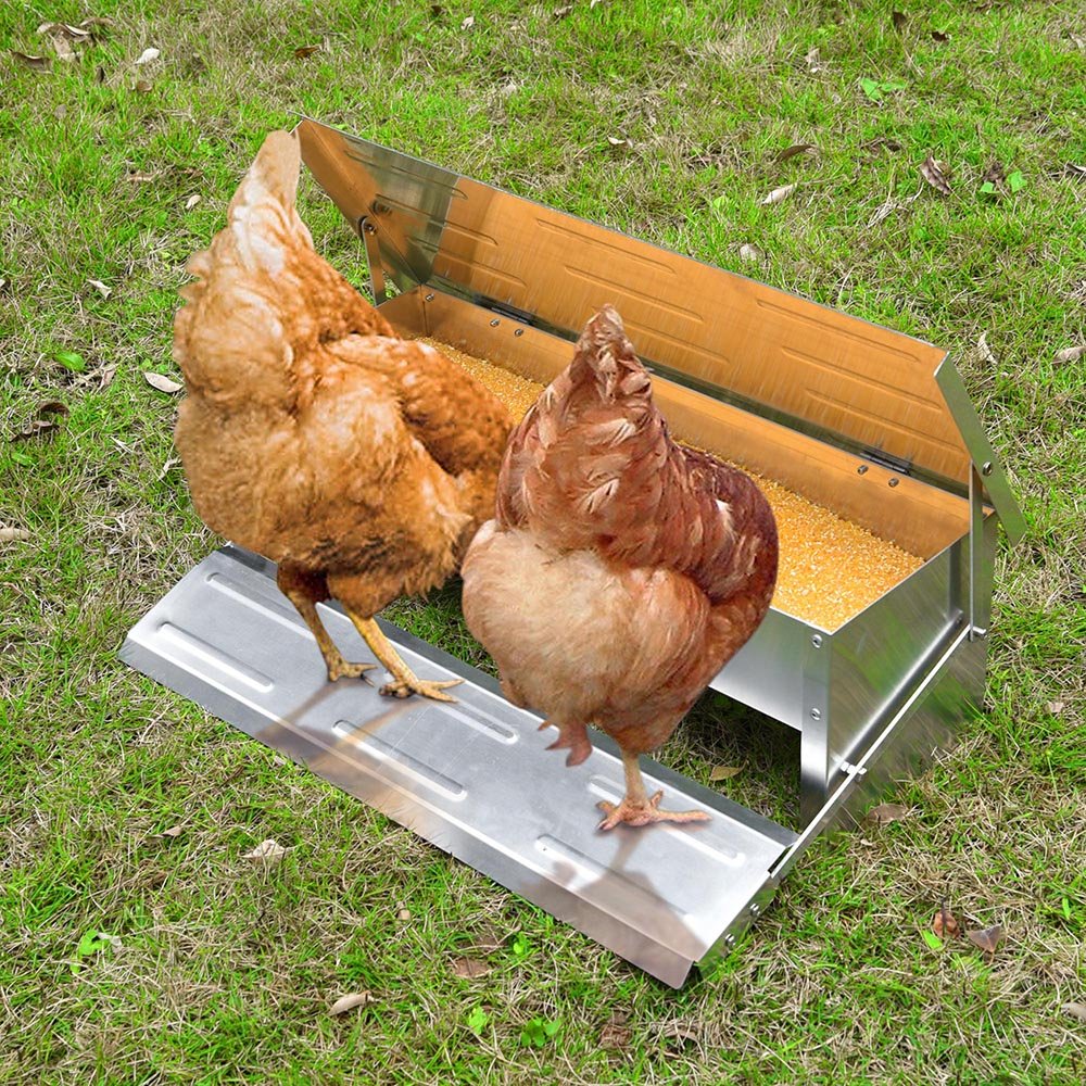 Hooomyai Economical and Practical Automatic Chicken Feeder,Aluminum Alloy Material, 8 lbs Capacity, On-Demand Feeding for 10 Chickens, Anti-Flick Grill