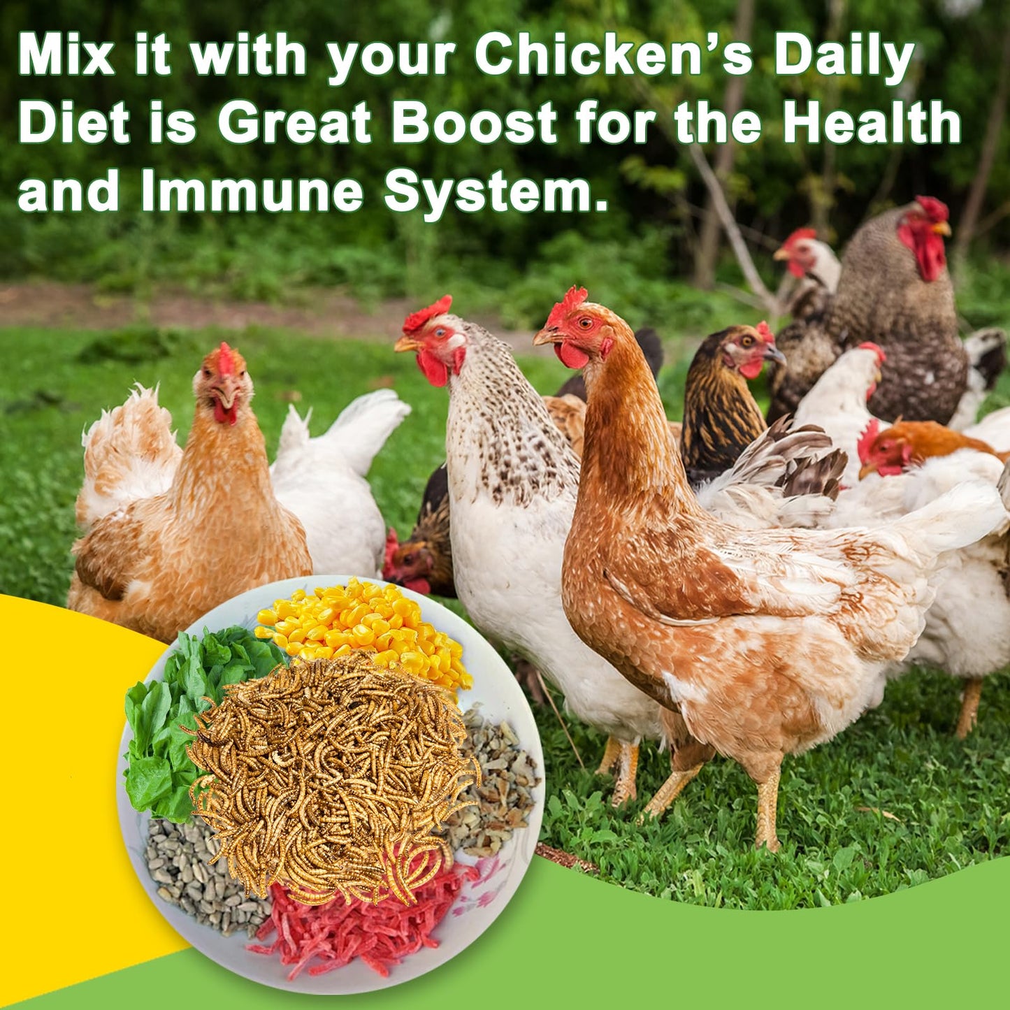 MTART 600g Dried Mealworms Treat for Chicken, 100% Natural Non-GMO High Protein Organic Chicken Feed for Birds, Ducks, Layer Hens