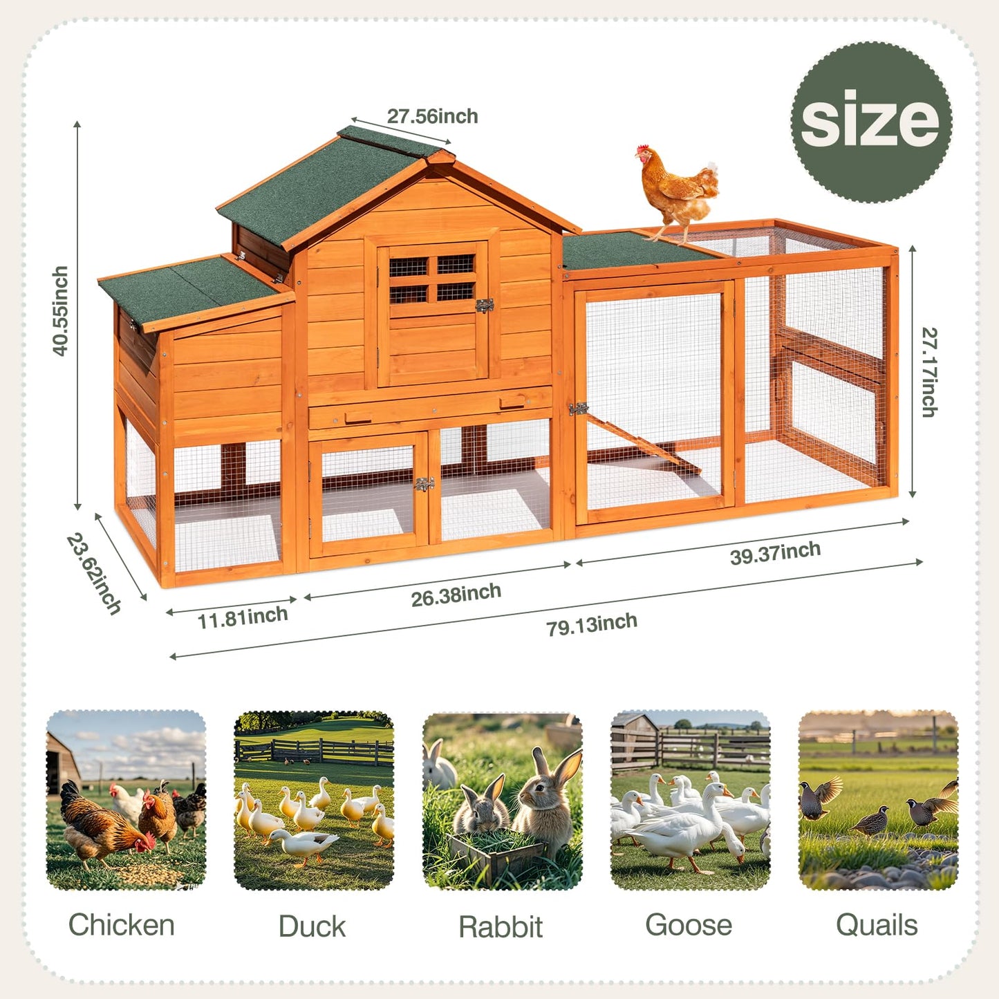 RUNSHED Chicken Coop for 4-6 Chickens Outdoor Wooden Hen House Poultry Pet Hutch for Backyard w/Run Cage & Nesting Box