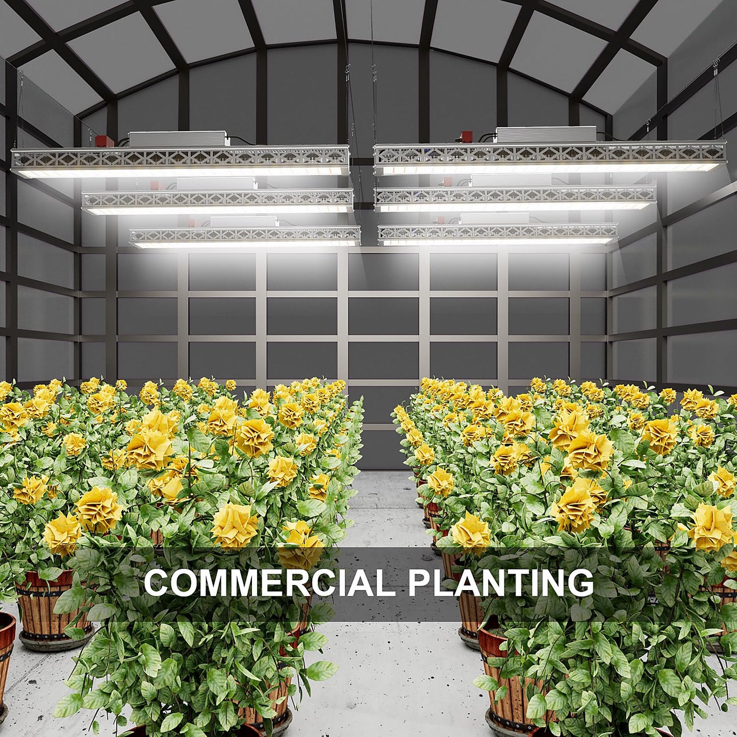 AGLEX G600 LED Grow Light, 600 Watt Full Spectrum Grow Light for Seed Starting, Commercial Grow Light with IP65 Waterproof Drive, Dimmable Plant Light for Indoor, Grow Tent 4x4 FT Coverage
