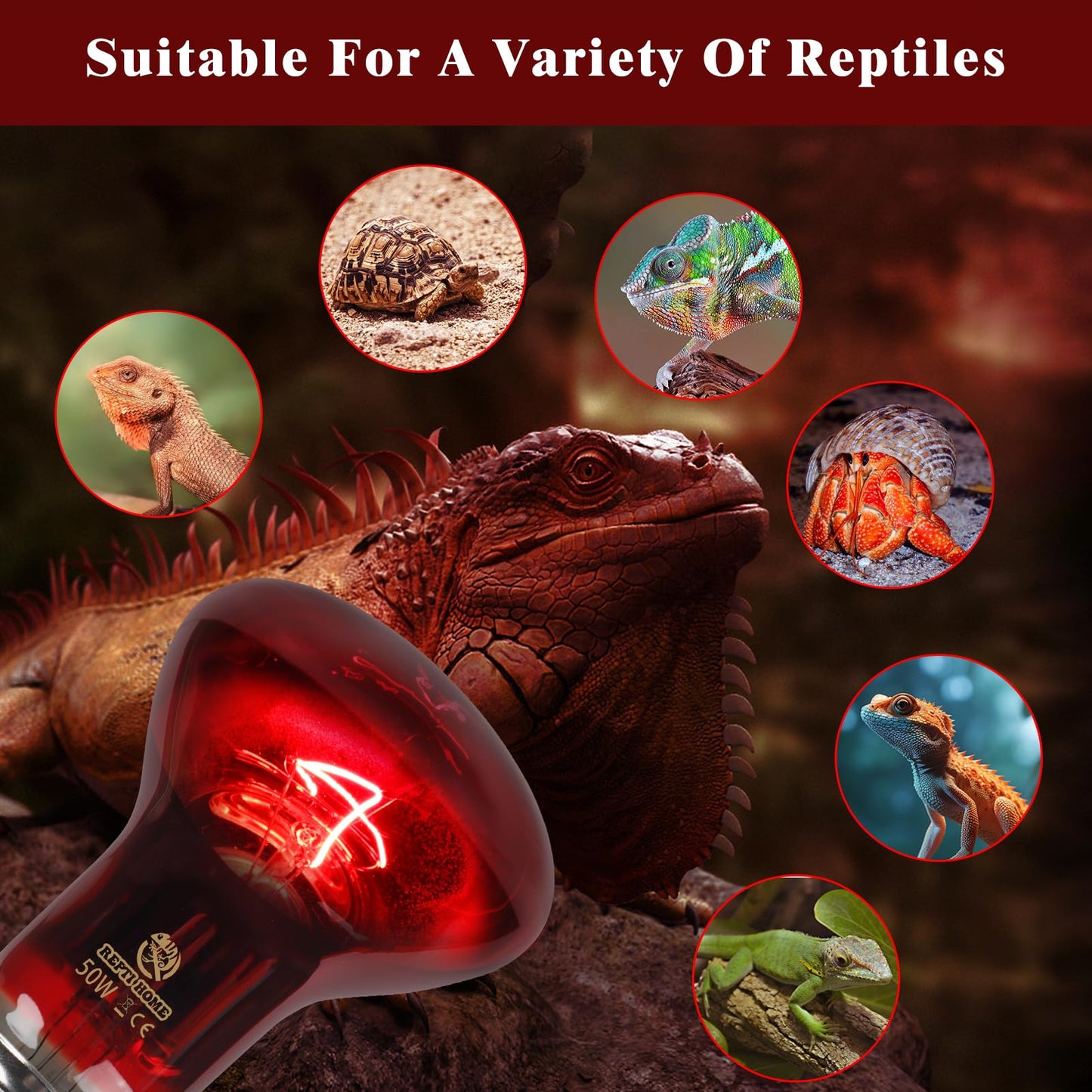 REPTI HOME Reptile Heat Lamp,50W Red Basking Spot Lamp Bulb for Chickens Amphibians, Infrared Heat Emitter Light for Coop
