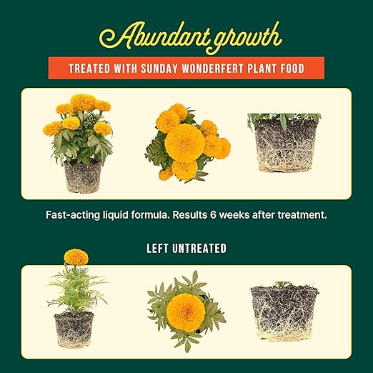 Sunday WonderFert 2 Pack - All-Purpose Liquid Fertilizer - 10-2-6 NPK Outdoor & Indoor Fertilizer - for New and Established Flowers, Veggies, Trees, Shrubs & Indoor Plants - Covers up to 1600 Sq Ft