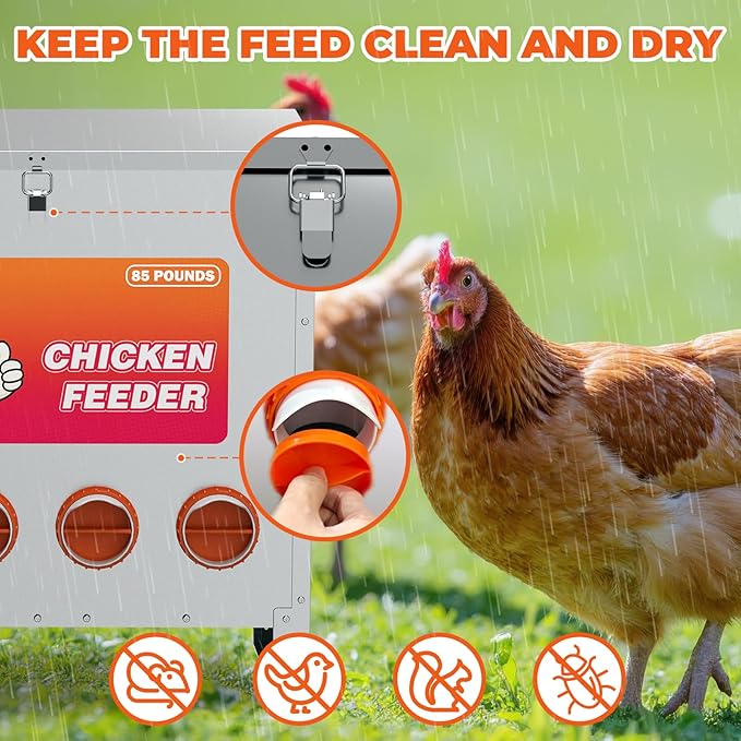 6 Ports Automatic Chicken Feeder 85 Pounds Large Gravity Fed Chicken Feeder with Latch & Handle for Chickens Bantams Pheasants Poultry Coop Weatherproof