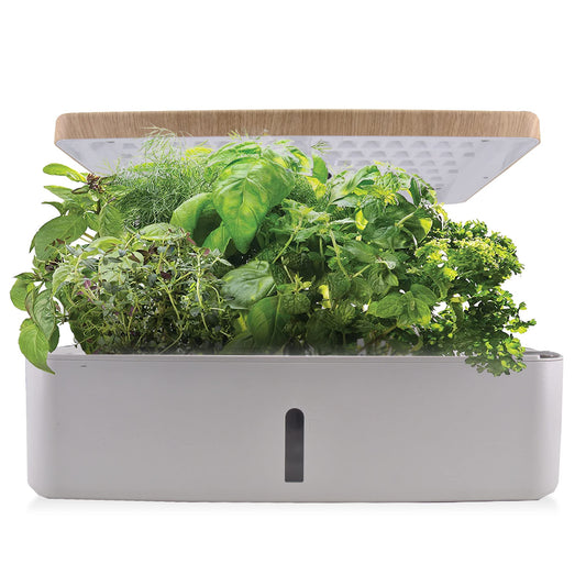 Smart Garden Hydroponics Growing System, Mini Herb Garden with Pump System, 14 Plant pods, 3 Planting Modes, 24 Hours Circulation of Water (No Seed), White
