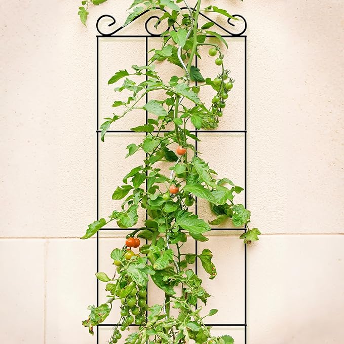 ARIFARO 47'' Metal Garden Trellis for Climbing Plants,(Pack of 4) Indoor/Outdoor Sturdy Plant Trellis for Potted Plants,House Plants, Climbing Vines, Black