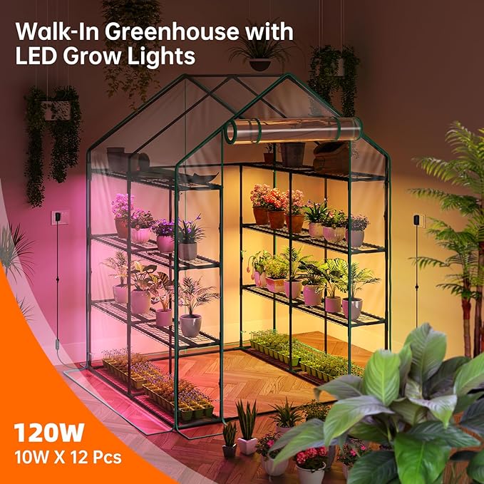 Bstrip Walk In Greenhouse, Indoor Greenhouse with Grow Lights, Mini Indoor Greenhouse with Roll-Up Zipper Entry Door and PVC Cover, Dimmable 2FT 120W Plant Light with Timer (56.3"W X 56.3"L X 76.8"H )