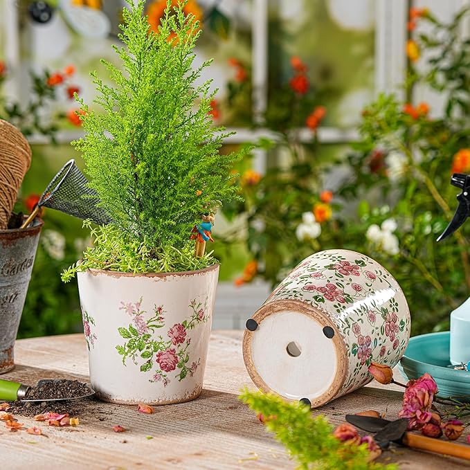 Sungmor Vintage Ceramic Plant Pots, Set of 2 Pretty Ice Cracked Glaze Ceramic Flower Pots, 5.5in. Herb Planters with Drainage Hole, Tuscan Planters for Indoor Outdoor Plants, Home Garden Decor Pot