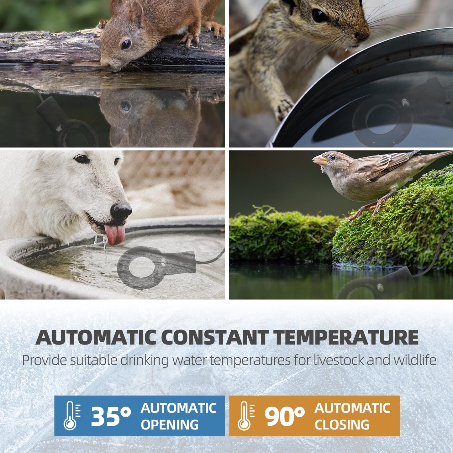 Upgraded 500-Watt Chicken Water Heater - Submergible Cast Aluminum Utility De-Icer with Black Teflon Coating for Livestock Tanks, Winter Bird Bath, and Mineral Buildup Resistance