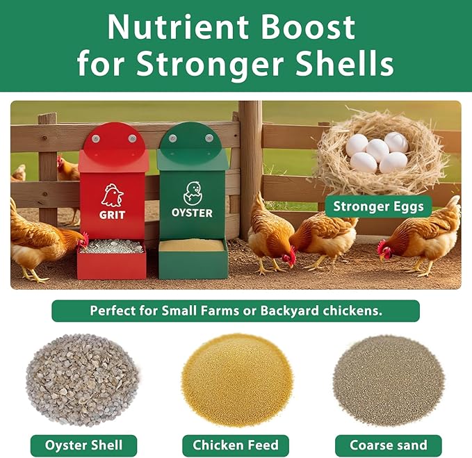Wall Mounted Chicken Grit and Oyster Shell Feeder Set, Heavy Duty Metal Poultry Accessories with Dual Compartments, Rustproof Hanging Feed Dispensers for Coop or Fence