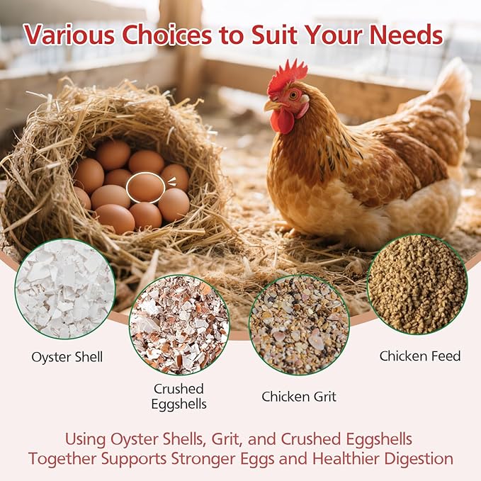 Chicken Grit and Oyster Shell Feeder for Hens – US Patent Pending – Heavy-Duty Metal Chicken Feeder with Rounded Edges – Chicken Coop Accessories Improve Eggshell Quality and Hen Health