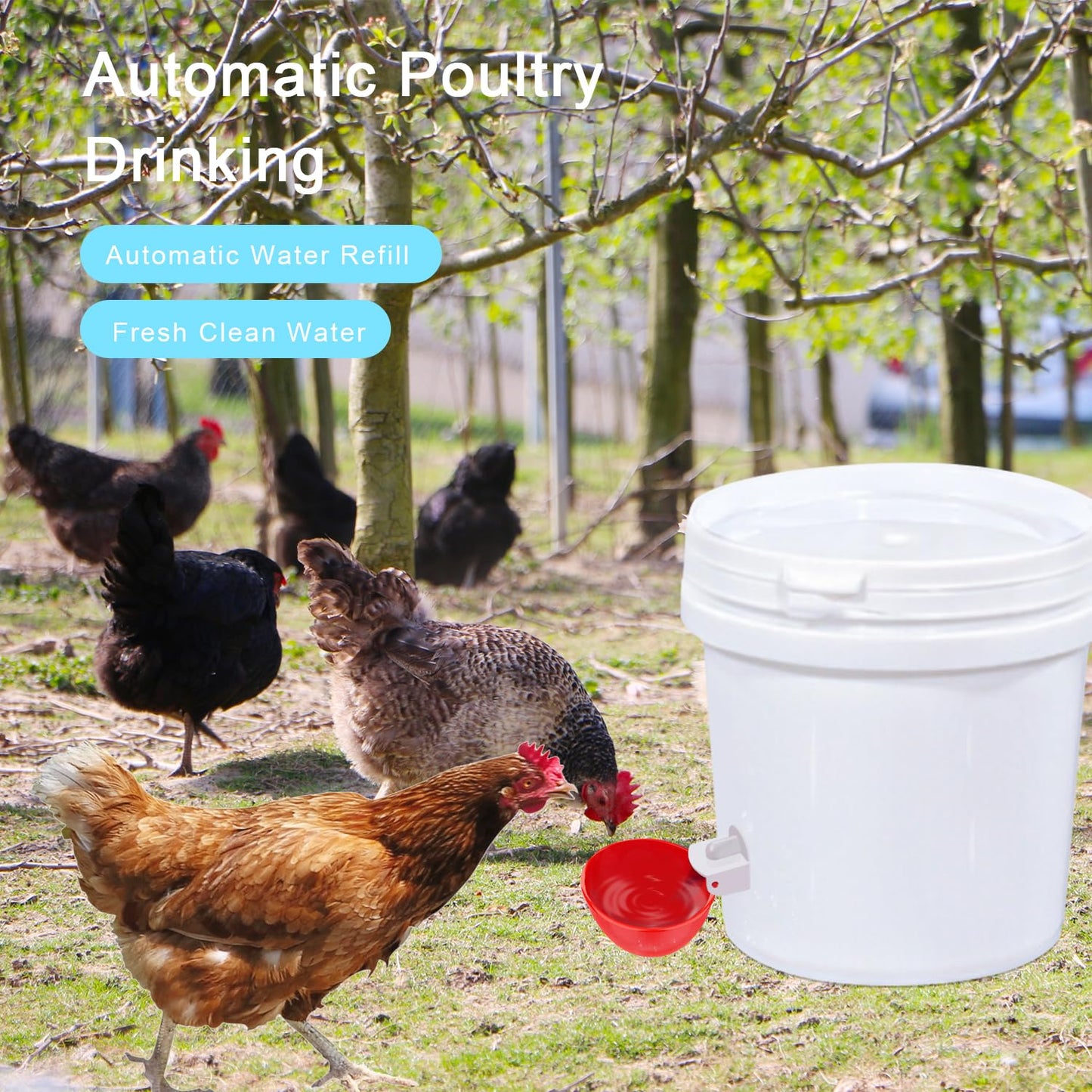 EOKOICA Chicken Waterer Cups, 6 Packs Large Chicken Watering Cups, Automatic Chicken Water Cups, Tee Fittings Poultry Feeder Cups Suitable for Chicken, Duck, Goose, Turkey with Mounting Hole Opener