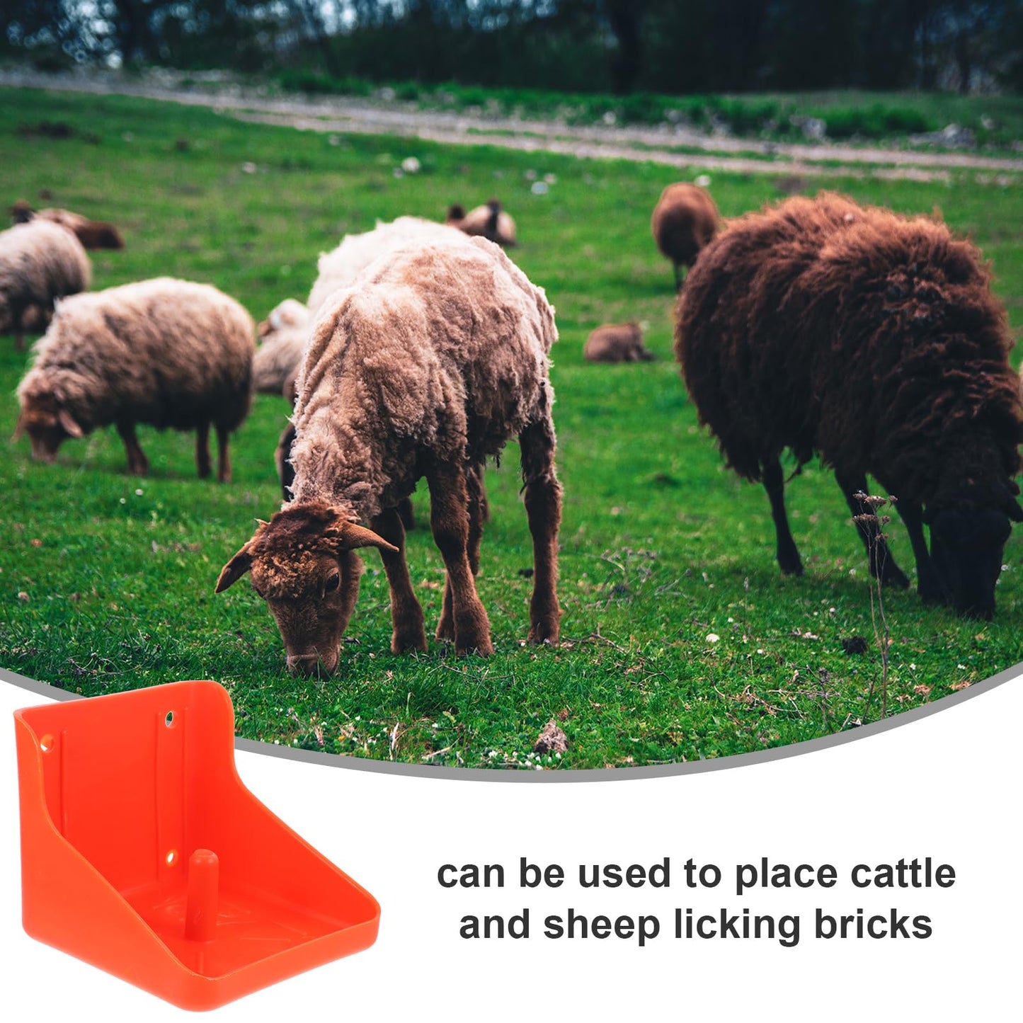 Thick Salt Block Holder for Livestock - Multi-Use Cattle and Sheep Salt Brick Feeder Tray Easy Assembly for Feeding and Minerals