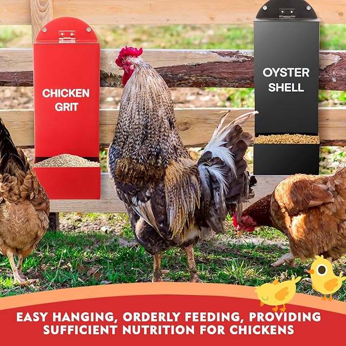 Leinuosen 4 Pack Metal Chicken Oyster Shell and Grit Feeder with Lid Rainproof Hanging Chicken Feeder Trough Automatic Gravity Poultry Coop Accessories Water Dispenser for Chicks, Ducks, Quail