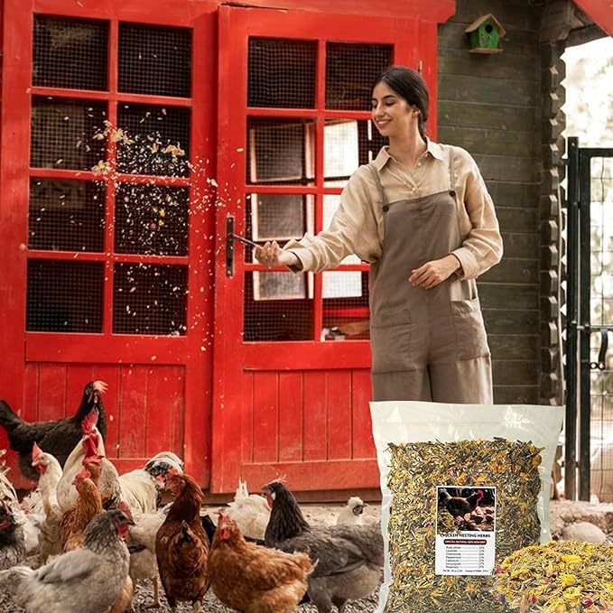 20 Oz Chicken Nesting Herbs Vacuum-Packed (1.25lb) - Natural 7 Dried Herbs for Chicken Coop Freshness, Promote Egg Laying, Hen Treats for Coops - Nesting Box Herbs for Chicken Coop