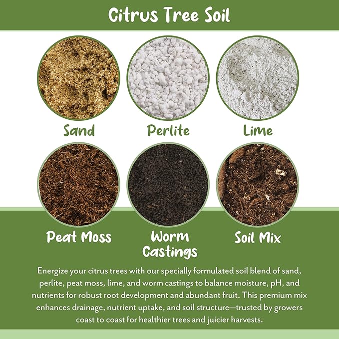 Citrus Tree Potting Soil Mix (30 Quarts), Special Blend for Indoor Oranges, Lemons, Limes and More