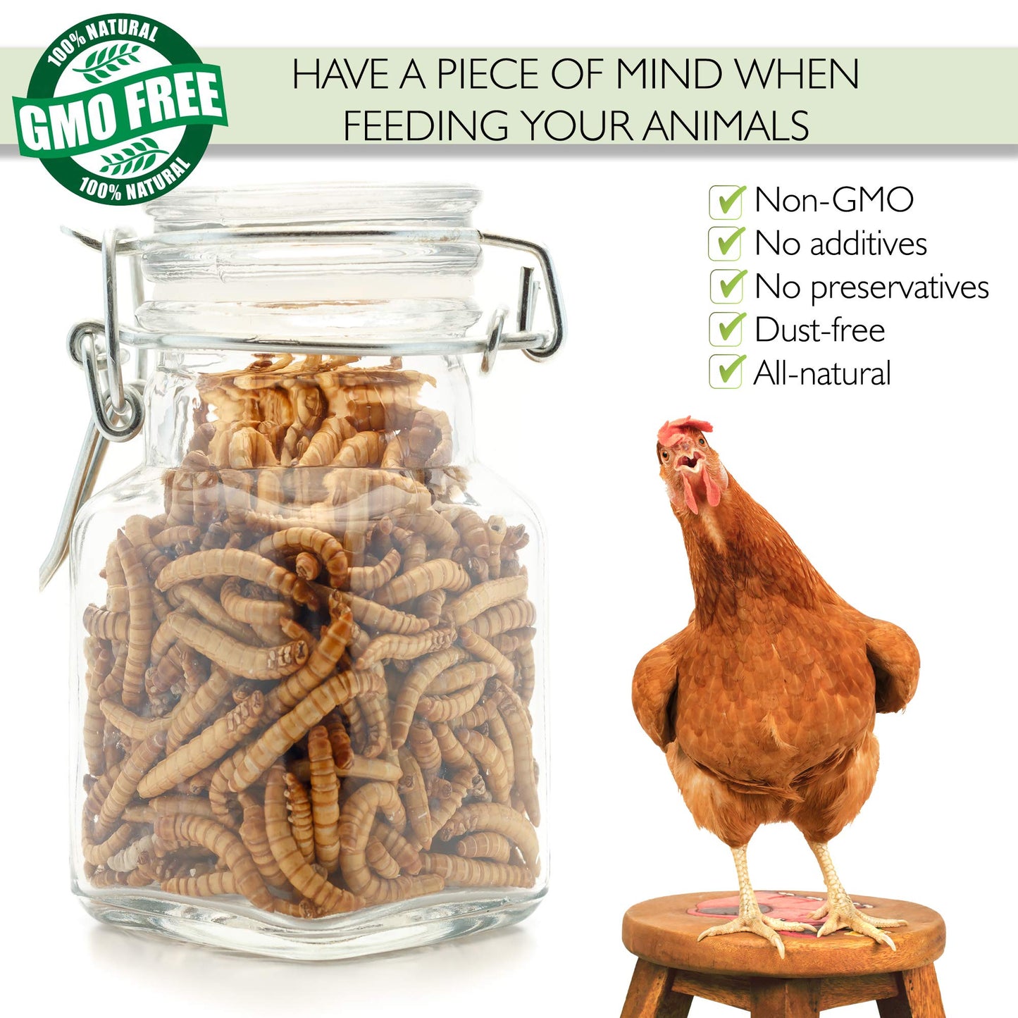 PICKY NEB Dried Mealworms 100% Non-GMO 30 Oz - Mealworms for Birds, Chickens, Ducks - Perfect High-Protein Treats - Whole Large Meal Worms, Dried for Chickens and Bluebird Food Bulk