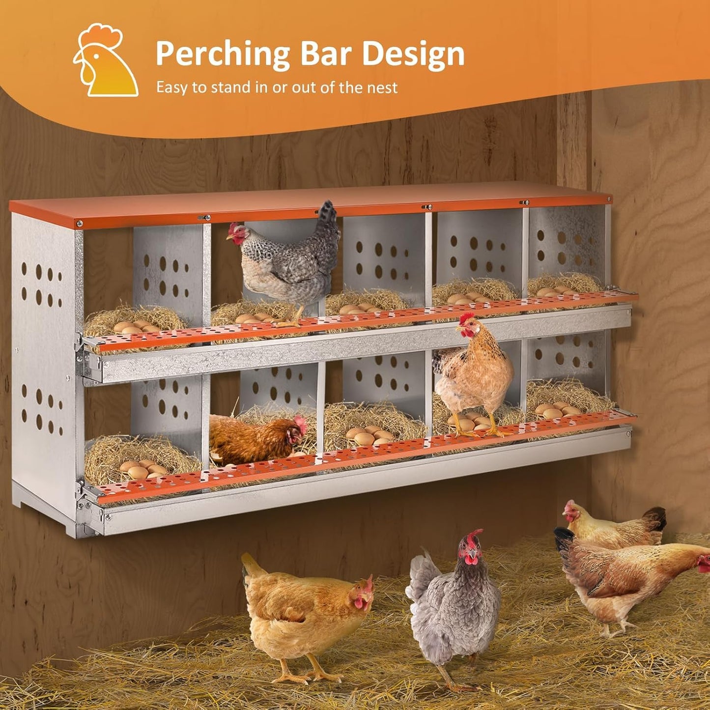 FuzzlyCo Chicken Nesting Box, 10 Compartment Nesting Boxes for Chicken Laying Eggs, Metal Chicken Laying Boxes with Roll Away Egg Collection, Heavy Duty Chicken Coop Nest Box
