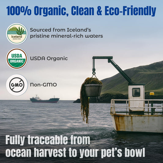 Life Line USDA Certified Organic Ocean Kelp for Pets & Livestock | Supports Skin & Coat Health, Immune Function, and Dental Hygiene | Promotes Metabolism & Reduces Plaque and Shedding – 16 oz