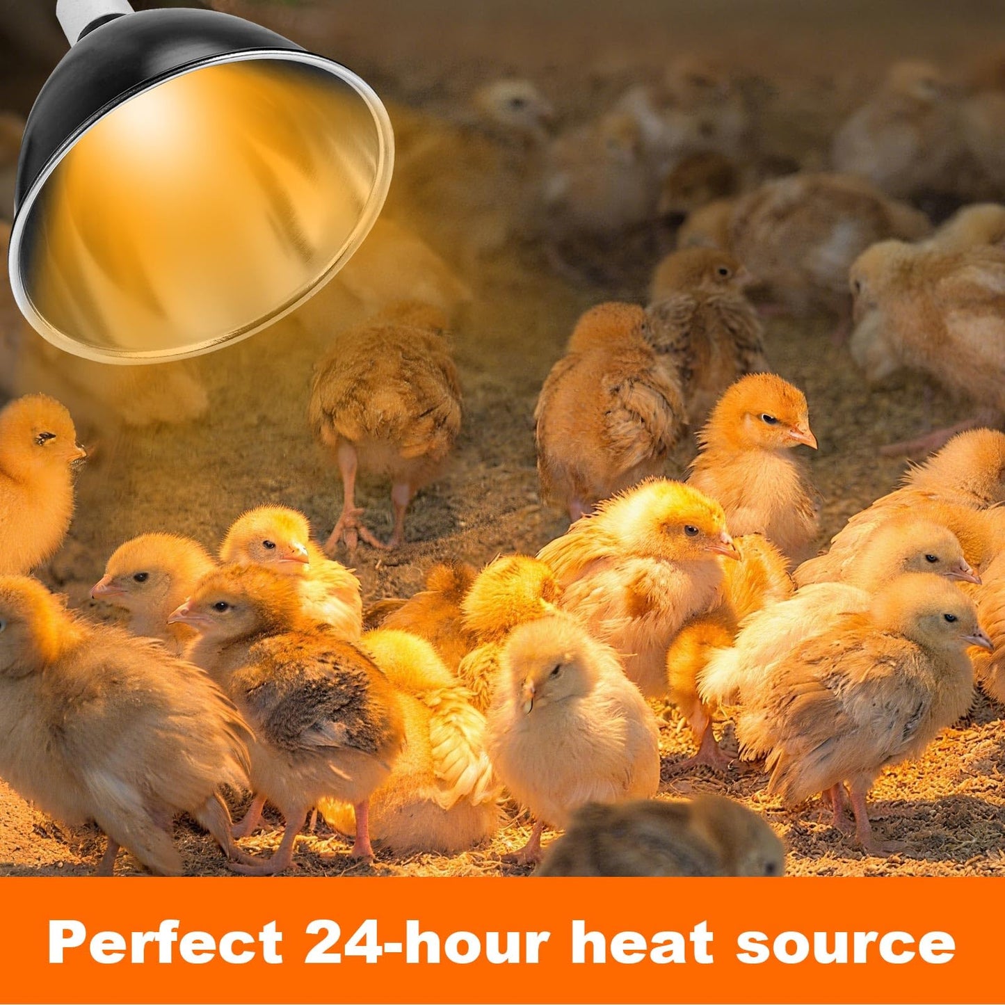 Chicks Brooder Box for Chicken Starter Kit- Includes Timing Heat Lamp Set, Detachable Chicken Brooder, Up to 15 Chicks, Sawdust, Chick Feeder and Waterer Set, Chick Perch 6-in-1 Chicken Coop Set