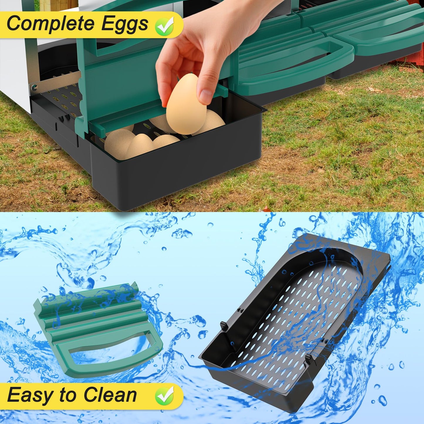 M METERXITY Chicken Nesting Box, 6 Compartments Metal Chicken Laying Boxes with Roll Out Egg Collection, Plastic Fake Eggs, Install Accessories and Gloves for Hens/Goose/Duck/Rabbit, Green