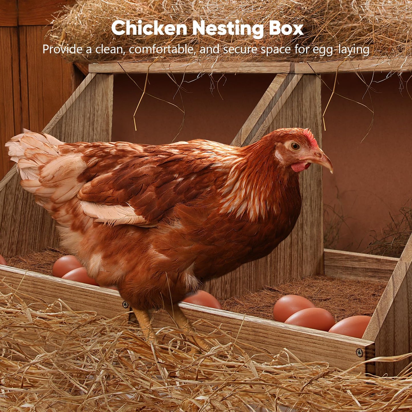 Chewoof 2 Pack Chicken Nesting Box, Wooden Chicken Coop, Chicken Coop Accessories, Chicken Laying Nest Box for Poultry Farm, Poultry Nesting Boxes with Nest Box Pads