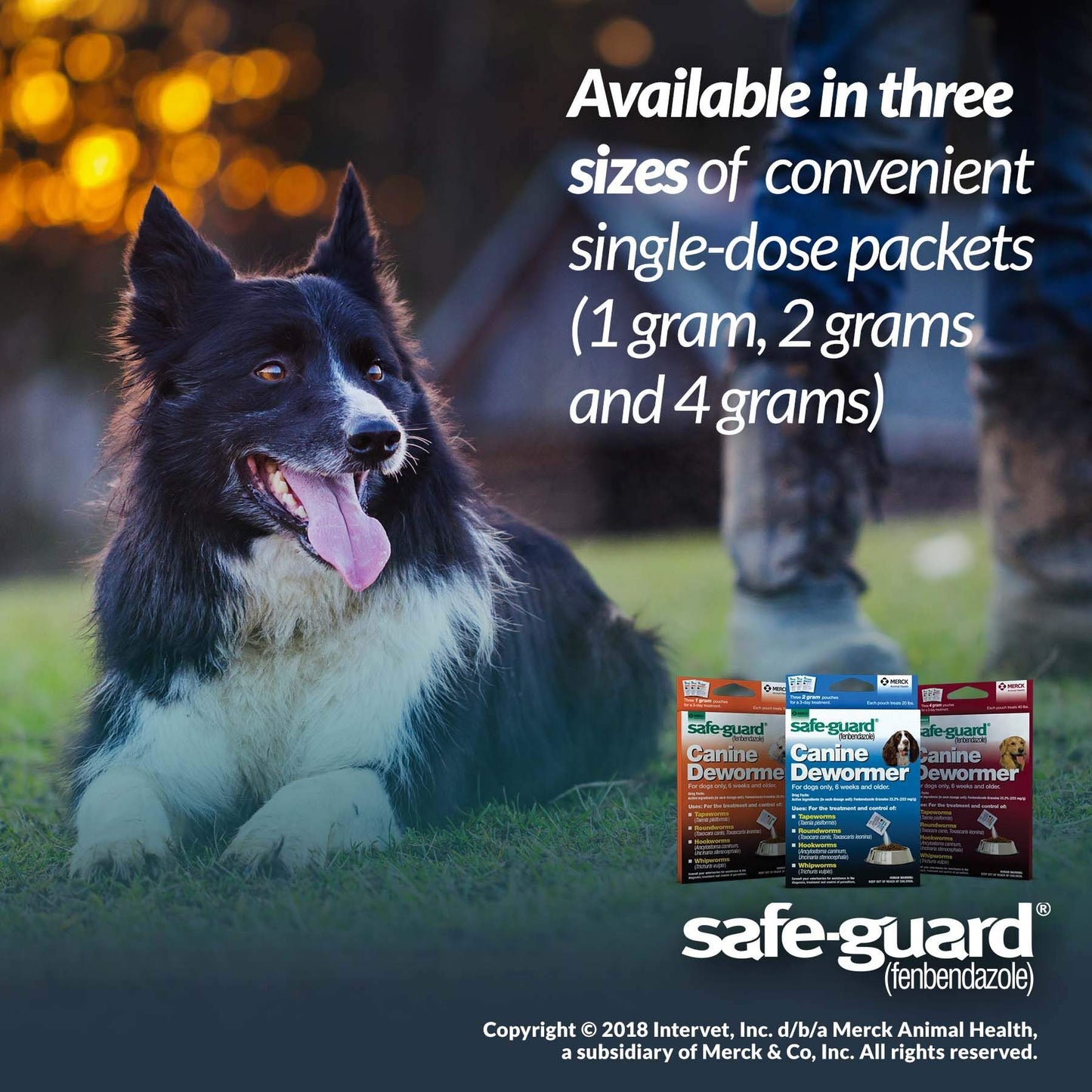 Safe-Guard (fenbendazole) Canine Dewormer for Dogs, 4gm pouch (ea. pouch treats 40lbs.)