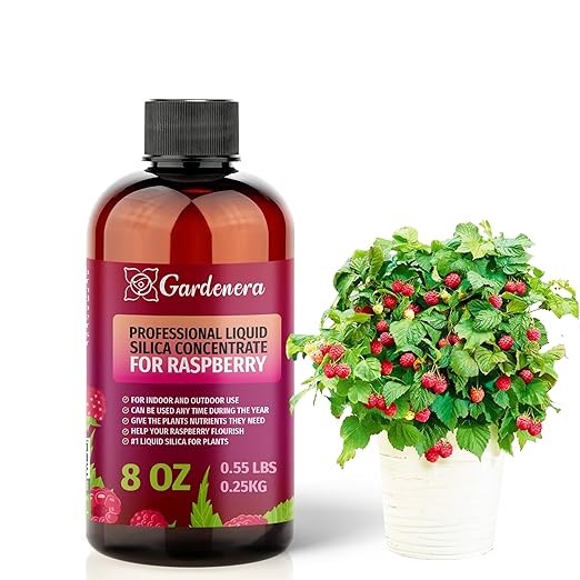 𝐏𝐑𝐄𝐌𝐈𝐔𝐌 Liquid Silica Plant Supplement - 8oz (250mL) - RASPBERRY Plants Liquid Silica Boost Fertilizer - Stronger Stems & Healthy Leaves for Indoor & Outdoor Raspberry Plants (Makes 45 Gallons)
