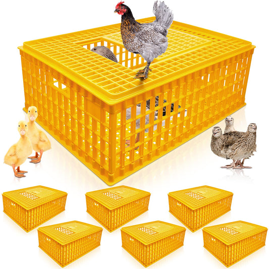Sintuff 2 Pieces Poultry Carrier Crate Plastic Chicken Transport Cage Bird Carrier Chicken Carrier Travel Crate Basket Box for Poultry Chicken Bird Duck Goose, 29.5 x 21.7 x 11.6 Inch