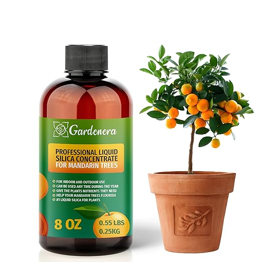 𝐏𝐑𝐄𝐌𝐈𝐔𝐌 Liquid Silica Plant Supplement - 8oz (250mL) - Mandarin Trees Plants Liquid Silica Boost Fertilizer - Stronger Stems & Healthy Leaves for Indoor & Outdoor Mandarins (Makes 45 Gallons)