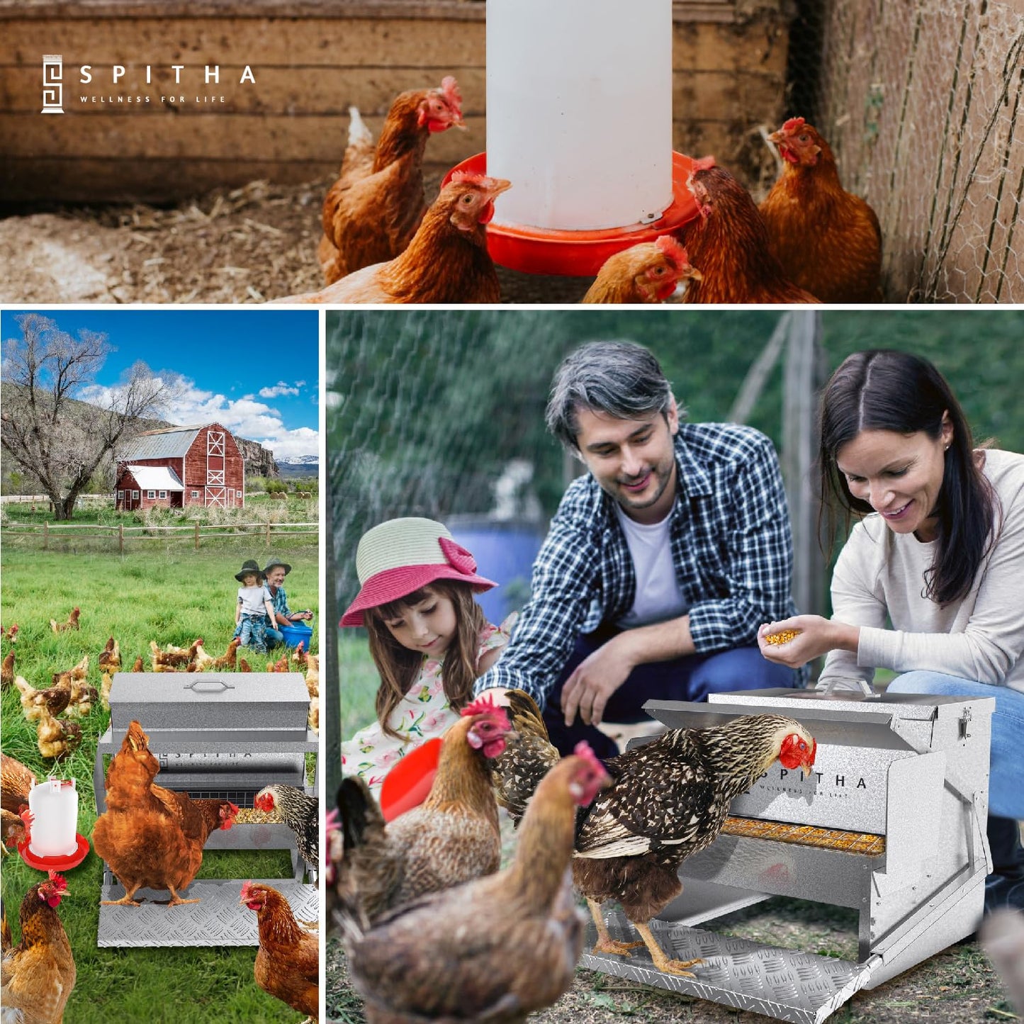 SPITHA Automatic Chicken Feeder-Large Metal Poultry Feeder(40lb Feed Capacity)16 Chickens for 14 Days Chicken Feeders No Waste Auto Food Dispenser Chickens Coop Accessories Chicken Food for Laying Hen