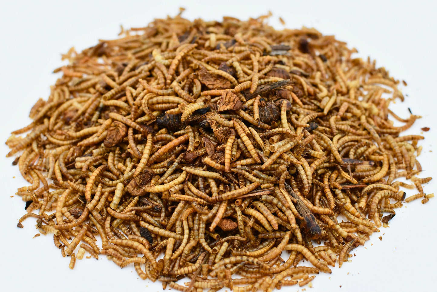 LITTLE FARMER PRODUCTS Add a Bug | Premium Poultry Mix Dried Mealworms, Silkworm Pupae and Grasshoppers | 1 lb