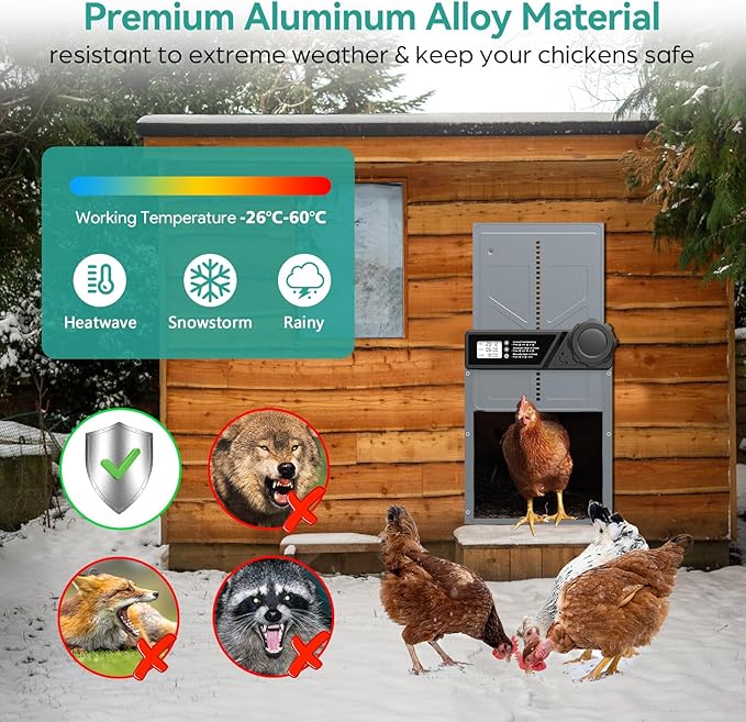 Large Automatic Chicken Coop Door, Aluminum Automatic Chicken Door with Manual & Timer Mode, Anti-Pinch & Battery Powered, LCD Display Chicken Door for Chickens, Ducks, and Geese