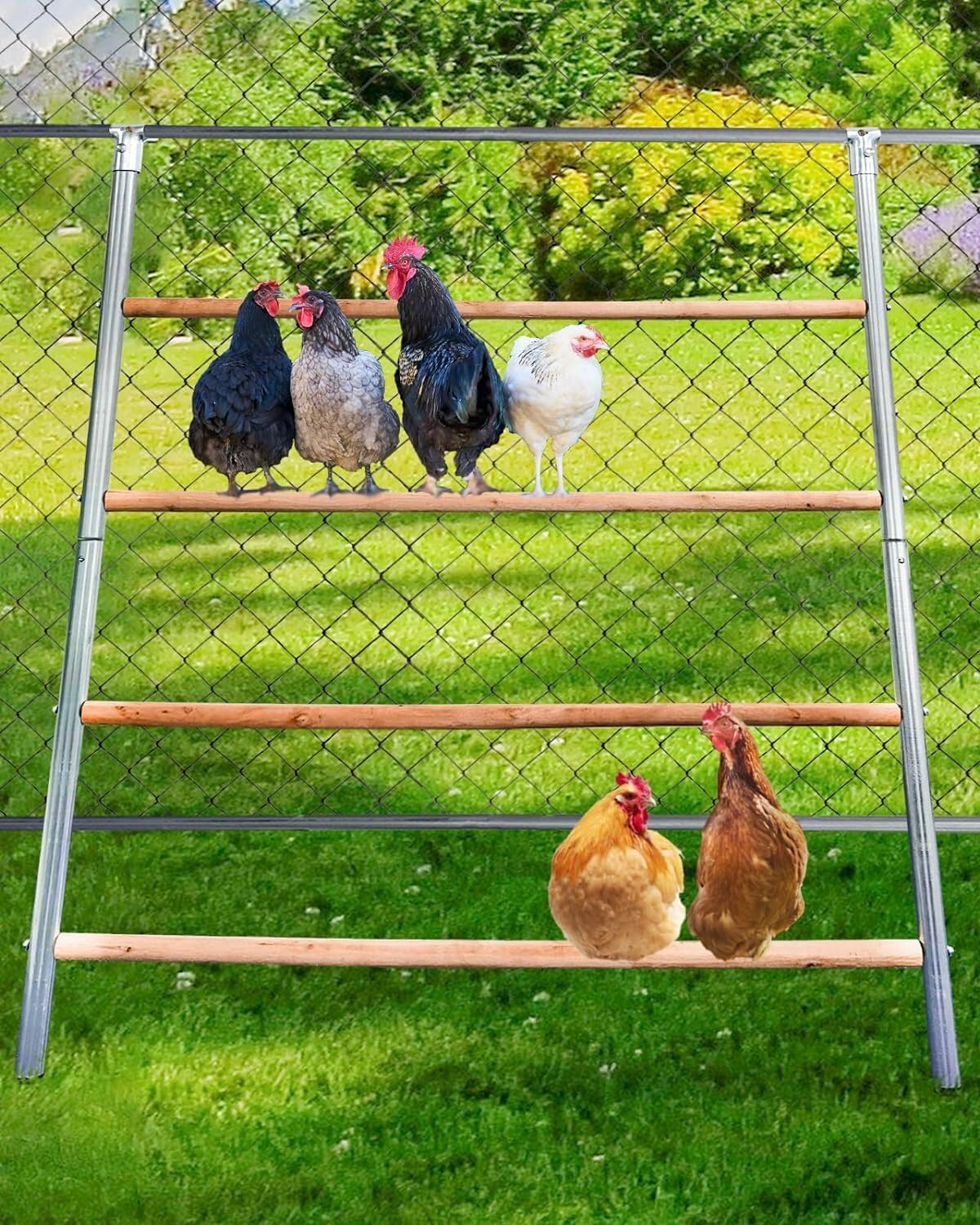 LZBEITEM Large Chicken Perch for Coop, Roosting Bar for Hen Stand,Funny Chicken Toy for Chicken Coop Accessories
