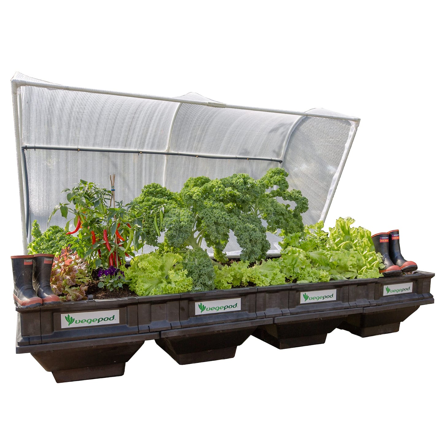 Vegepod - Raised Garden Bed - Self Watering Container Garden Kit with Protective Cover, Easily Elevated to Waist Height, 10 Years Warranty (Large)