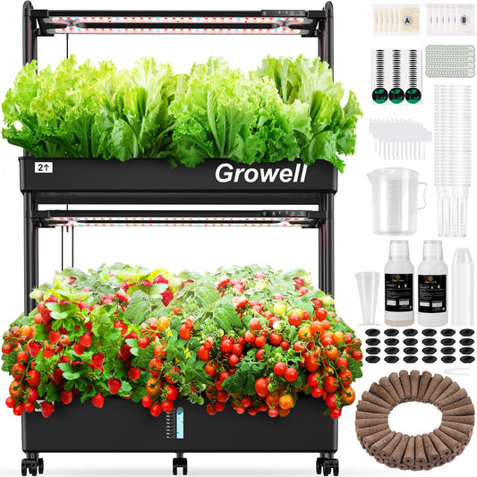 Growell 60 Pods Large Hydroponics Growing System Kit & 120 Pack Grow Sponges