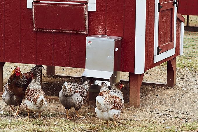 RentACoop Mounted Metallic Trough Poultry Feeder: Waterproof, Chickens/Poultry/Etc. (50LB Capacity)